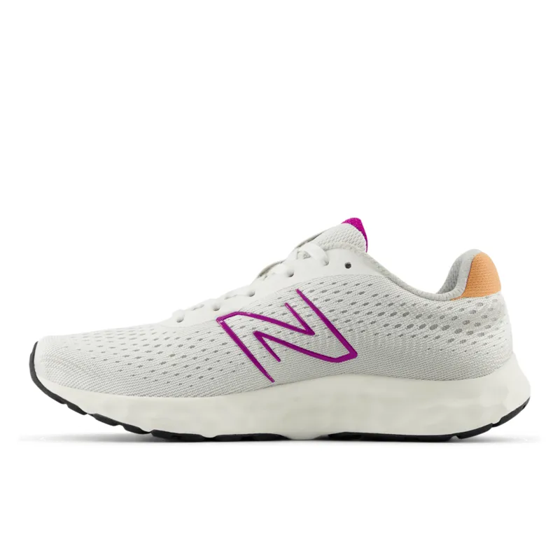 New Balance Women's 520 V8 Running Shoe - W520RG8