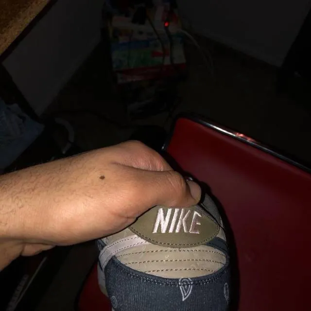 Nike Travis Scott SB Dunks