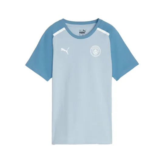 Puma Manchester City Fanswear 2023-2024 Jersey