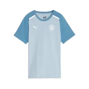 Puma Manchester City Fanswear 2023-2024 Jersey